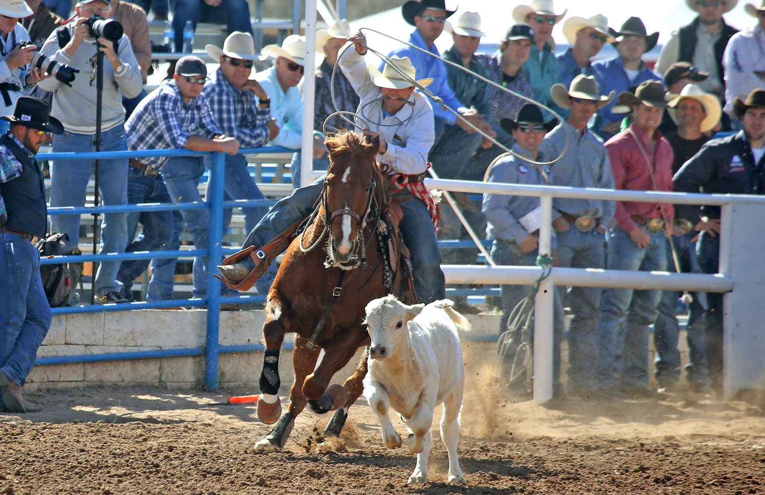 La Fiesta de los Vaqueros
